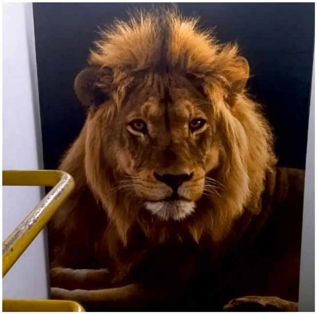 Flex Board - signagetimes